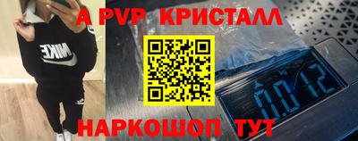 стаф Кингисепп