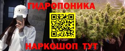 стаф Кингисепп