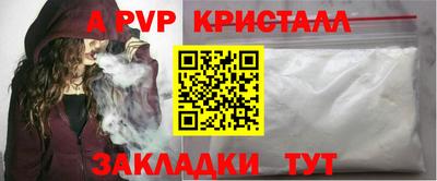 стаф Кингисепп