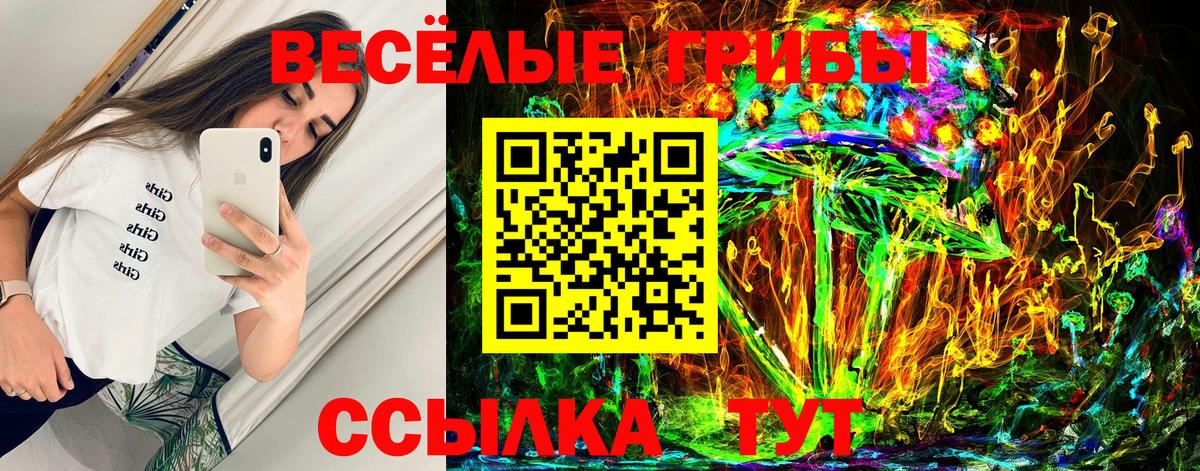 Галлюциногенные грибы мицелий  Вход с VPN  Энгельс 