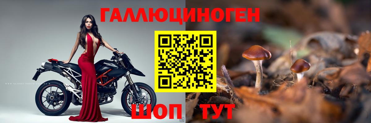 Галлюциногенные грибы мицелий Энгельс